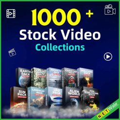 Stock Videos Collections