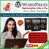 WordPress Optimization Like a Pro
